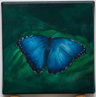 Blauer Schmetterling
