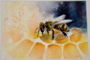 Bienenlehrpfad.jpg